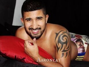 Aaroncat