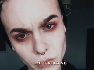 Androgyne