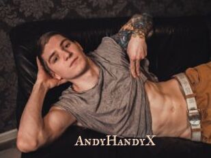 AndyHandyX
