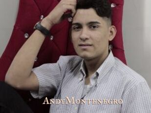 AndyMontenegro