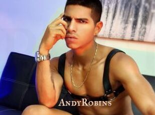 AndyRobins