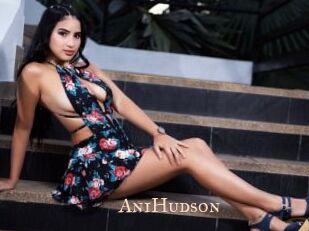 AniHudson