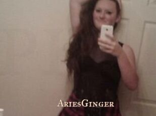 AriesGinger