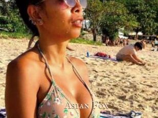 Asian_Fox