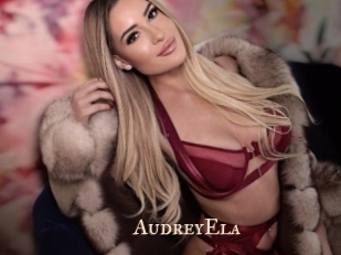 AudreyEla Pink Center Fold