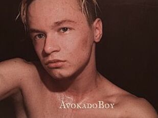 AvokadoBoy