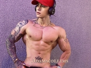Adamscollims