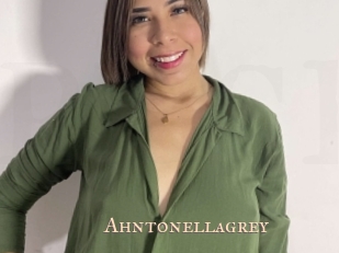 Ahntonellagrey
