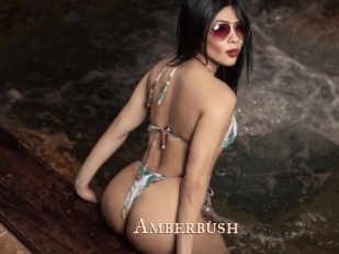 Amberbush