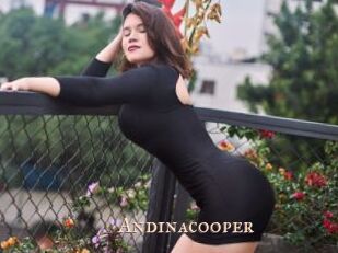 Andinacooper