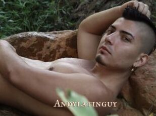 Andylatinguy