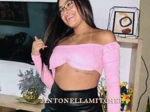 Antonellamitchel