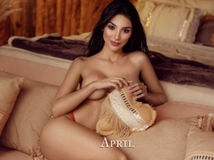 april Pink Center Fold