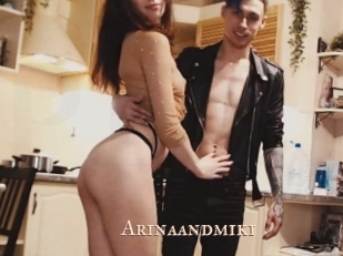 Arinaandmiki