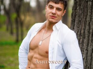 Ashtoncolt