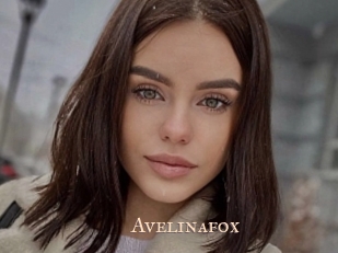 Avelinafox