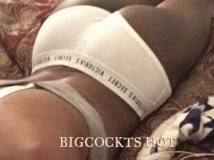 BIGCOCKTS_HOT