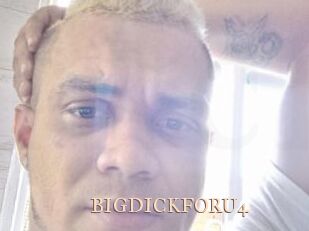 BIGDICKFORU4