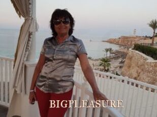 BIGPLEASURE