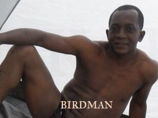 BIRDMAN Pink Center Fold