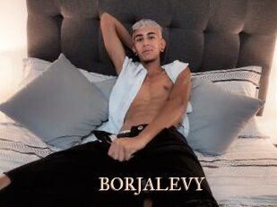 BORJALEVY