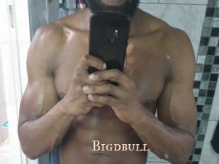 Bigdbull