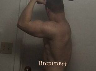 Bigdude55