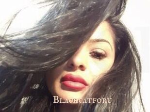 Blackcatforu