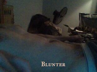 Blunter