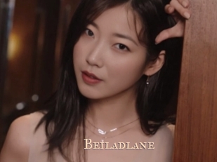 beiladlane Pink Center Fold