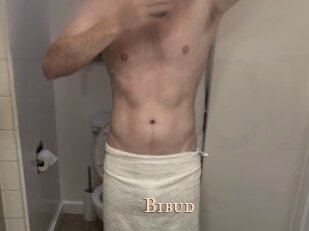 Bibud