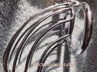 Bicepssobehave