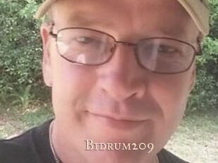 Bidrum209