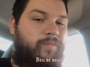 Big_bi_bear