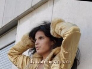 Bigboobscherie