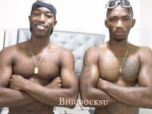 Bigcoocksu