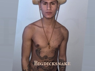 Bigdicksnake
