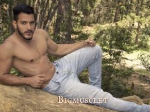 Bigmusclet