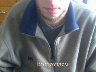 Bigtoy21cm