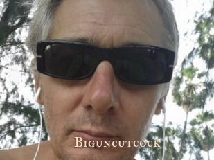 Biguncutcock