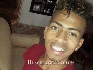 Blackboy12inches
