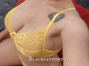 Blackcatforyou