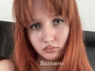 Breebuss
