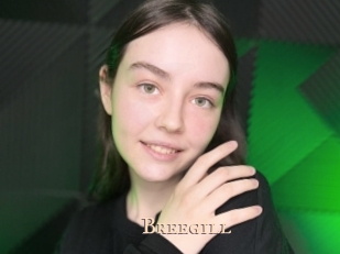 Breegill