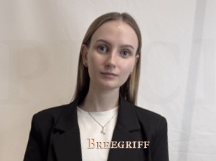 Breegriff