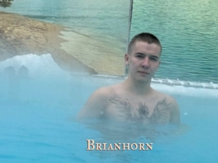 Brianhorn
