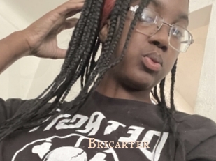 Bricarter