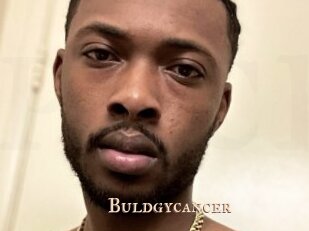 Buldgycancer