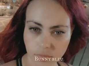 Bunny_bleu