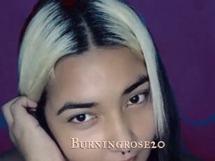 Burningrose20